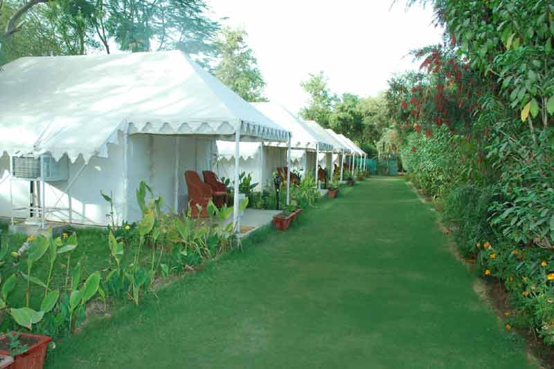 Ranthambore Camps Tent Stay 
