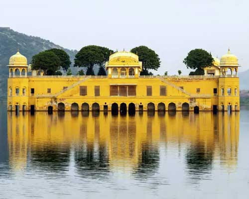 Tiger with Jaipur Tour